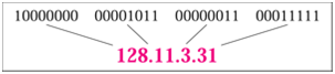 25_Show the IP Address Representation1.png